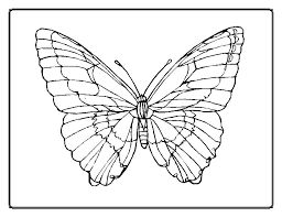 Show your kids a fun way to learn the abcs with alphabet printables they can color. Drawing Butterfly 15673 Animals Printable Coloring Pages