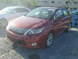 Image result for Matador Red 2010 HS