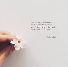 48 Ideas Quotes Flower Bloom Truths For 2019 Flower Quotes Funny Quotes For Kids Best Quotes