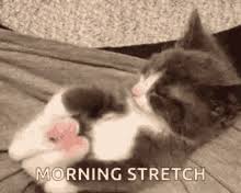 Morning yoga routine for beginners. Stretching Stretch Gifs Tenor
