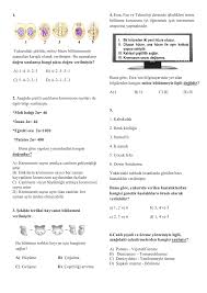 1 1 2 3 4 5 Yukaridaki Sekilde Mitoz Hucre Bolunmesinin Asamalari
