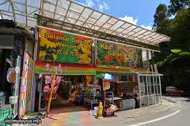Equatorial cameron highlands in brinchang cameron highlands at kea farm 39100 my. Kea Farm