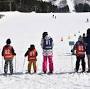 スキーキャンプ 2024 from niigata-kankou.or.jp