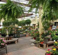 Garden Centre The Watering Can Garden Center Garden Center Displays Diy Greenhouse Plans