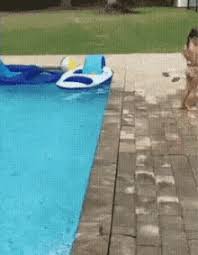 Kelly smooth jazz tribute) — smooth jazz all stars. I Believe I Can Fly Gifs Tenor