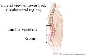 Do you have any fashion advice for others who wear back braces? Lumbar Spinal Fusion What To Expect At Home