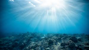 Area dasar laut internationalarea dasar laut dan tanah dibawahnya yang diatur dalam bab xi konvensi hokum laut 1982 merupakan warisan bersama bersama umat manusia yang tunduk dan patuh pada aturan international ( common heritage of mankind. Wallpaper Underwater World Ocean Corals Light Hd Widescreen High Definition Fullscreen