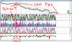 Forex Trading Vs Crypto Investing My Experience Steemit