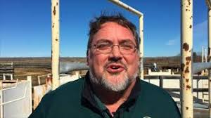 Bison from Alberta return home to Blackfeet Nation in Montana