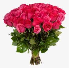 20 beautiful good morning lantana flower images. Real Flowers Nature Beautiful Roses Red Awesome Love Good Morning Flower For Her Hd Png Download Kindpng
