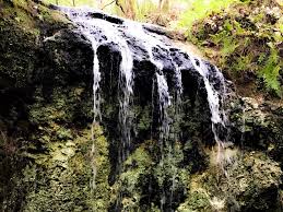 Maybe you would like to learn more about one of these? Waterfalls And Sink Hole Trail Falling Waters State Park Florida Has Both