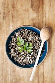 How To Cook Wild Rice Foolproof Living