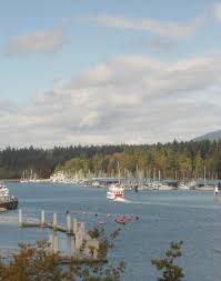 Consulta 50.013 fotos y videos de cactus club cafe coal harbour tomados por miembros de tripadvisor. Soy Dijon Salmon Picture Of Cactus Club Cafe Coal Harbour Vancouver Tripadvisor