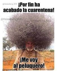 Meme tok es una plataforma de videos sociales dónde podrás compartir propios o descargar los que fueron cargados por otros usuarios. 33 Ideas De Fotos Chistosas Para Whatsapp En 2021 Chistes Geniales Mensajes Divertidos Frases De Buen Humor