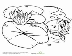 The pads of victoria water lilies can grow up to 8 feet in diameter and are rimmed with a raised lip. Preschool Coloring Worksheets Water Lily Coloring Page Coloring Pages Water Lily Pond Monet Monet Water Lilies