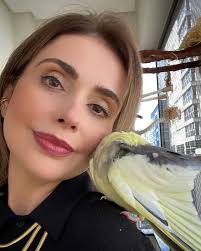 Cockatiel Birds for sale