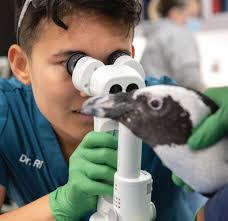 Bradley Rittenhouse's Instagram, Twitter & Facebook