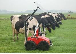 Frontal Grazing The Innovative Way Farmstyle Australia Raising Cattle Cattle Farming Farm Style