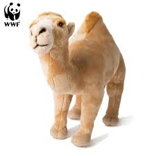 Alfred flechtheim war ihr galerist und präsentierte von 1920 bis 1933 zahlreiche gruppenausstellung mit plastiken und zeichnungen von ihr. Wwf Pluschtier Dromedar 38cm Lebensecht Kaufland De