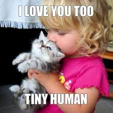 We Love You Too Tiny Cat I Love You Too Tiny Human Gray And White Kitten Blonde Little Girl Adorable Animal Cute Animals Cute Baby Animals Funny Cute
