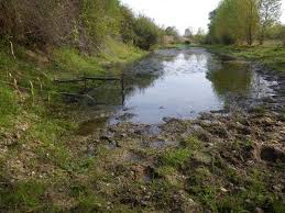 421 km (262 mi) uzunluğundadır ve 14.350 km (5.540 sq mi) bir drenaj havzasına sahiptir. Ltser Zone Atelier Loire Downstream Allier River France Deims Sdr