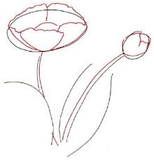 Mattel requests the trademark for poppy o'hair. How To Draw A Poppy Howstuffworks