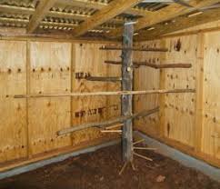 Progress On The Chicken Coop Continues Quarter Inch Plywood Walls We Bought The Plywood At Our A Chicken Roost Portable Chicken Coop Best Chicken Coop