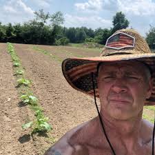 Today's harvest: homegrown pumpkins and gourds bringing all the autumn  feels 🍁🧡 Bristol, UK 🇬🇧