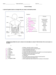 Maybe you would like to learn more about one of these? Digestive System Answer Key Human Digestive System Gastrointestinal Tract
