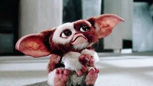Free mobile download from our website, mobile site or mobiles24 on google play. Free Download Gif Gremlins Gizmo 500x281 For Your Desktop Mobile Tablet Explore 73 Gremlins Gizmo Wallpaper Gremlins Wallpaper Gizmo Wallpaper Amc Gremlin Wallpaper