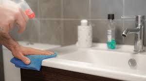 After basic cleaning, you can use household cleaners such as borax and bleach to get rid of the eggs or larvae and worms. How To Get Rid Of Black Worms In The Bathroom 4 Methods Home Decor Bliss