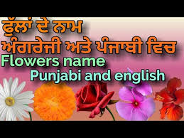 Repeat Flowers Name In Punjabi And English By Make Perfect