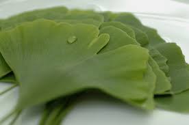 Memory loss can occur for a variety of reasons. 7 Best Herbs And Spices For Brain Health