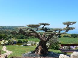 Ploeren France Beautiful Places Vegetation Garden