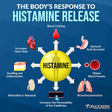 Image result for Histamine