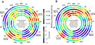 The Nucleoid Associated Protein Ihf Acts As A Domainin Protein Coordinating The Bacterial Virulence Traits With Global Transcription Biorxiv