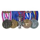 Opmaak medailles (grootmodel) - BOVOMED-onderscheidingen