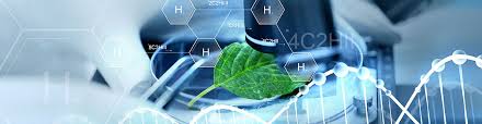Check spelling or type a new query. Plant Cell Culture Technology To Targeting Recombinant Protein