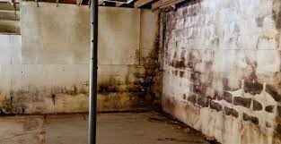 1) throw out everything with mold on it. How To Remove Mold From Basement Walls A Step By Step Guide