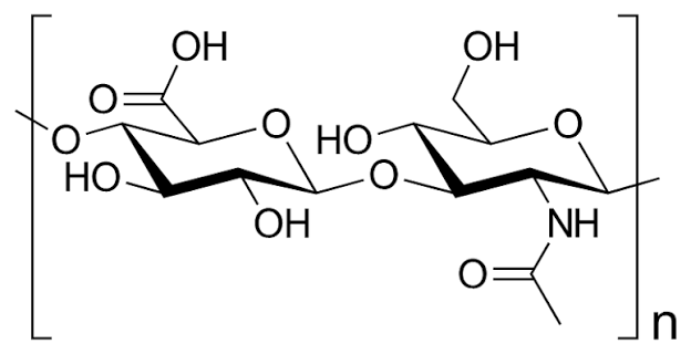 Hyaluronic acid - Wikipedia