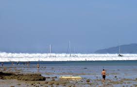 Image result for Tidal Wave 2004 Tiburon