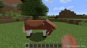 Before breeding horses in minecraft, you will first need to get to grips with how to tame a horse. How To Tame And Ride A Horse In Minecraft