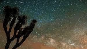 The free online library of animated gif images for this online resource offers thousands of free gif animations, which can lift your spirits and cause the. Camelopardalid Meteor Shower Gifs Get The Best Gif On Giphy