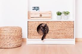Cat Baskets For Ikea Billy Regal Ikea Billy Ikea Hack Cat Basket