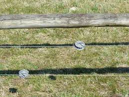 Electric fence online are the uk's largest online supplier for electric fencing, posts and other accessories. What Are The Most Common Electric Fencing Mistakes Triangle Gardener Magazine