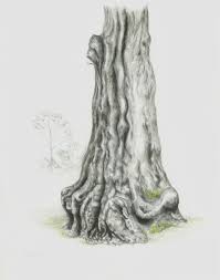 In this tutorial for beginners you can see how to. Why I Draw Trees Nature Journaling Week