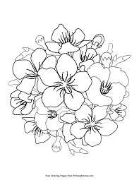 Pin On Coloring Pages