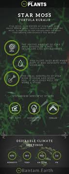 Tortuola Ruralis Star Moss Care Guide Vivarium Plants Ferns Care Vivarium Asparagus Fern Care