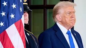 Broad Green Pictures Hires Steve Nickerson as President of Home  Entertainment