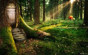 We did not find results for: Fantasy Forest Wallpaper Download Enchanted Hd Wallpaper Appraw